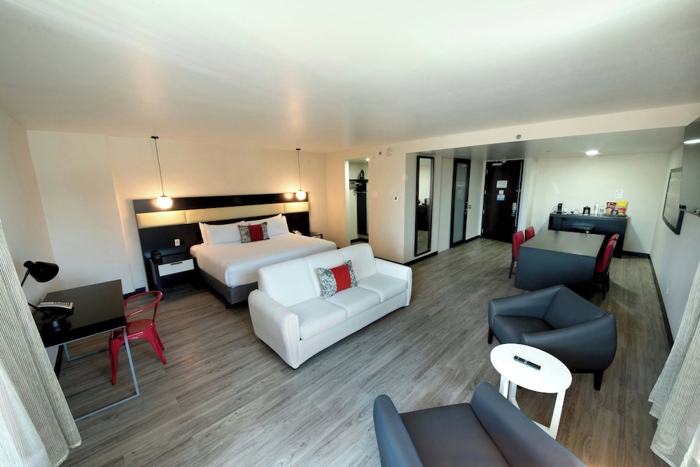 Suite, 1 King Bed with Sofa bed
