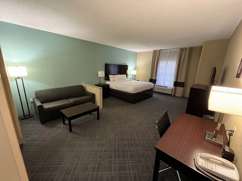 Deluxe Suite, 1 King Bed, Non Smoking, Refrigerator & Microwave