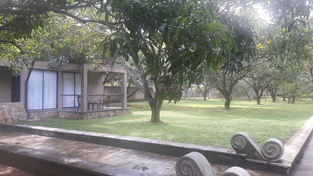 Luxury Villa photo 2