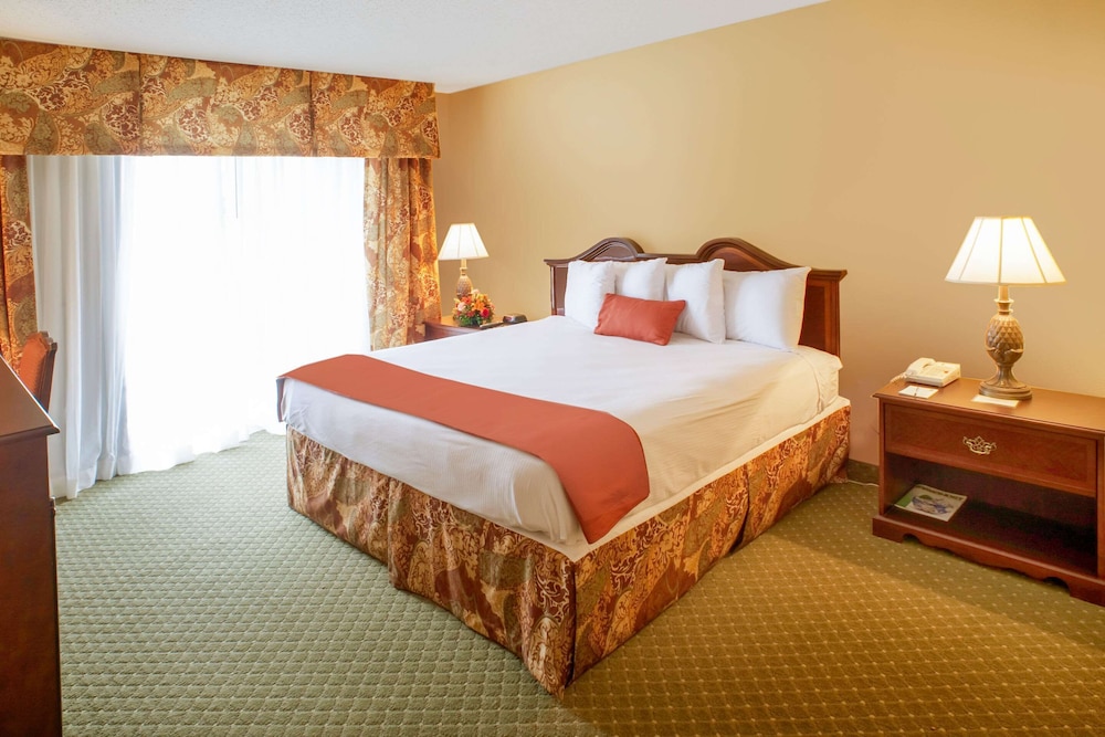 Standard Room, 1 King Bed, Non Smoking