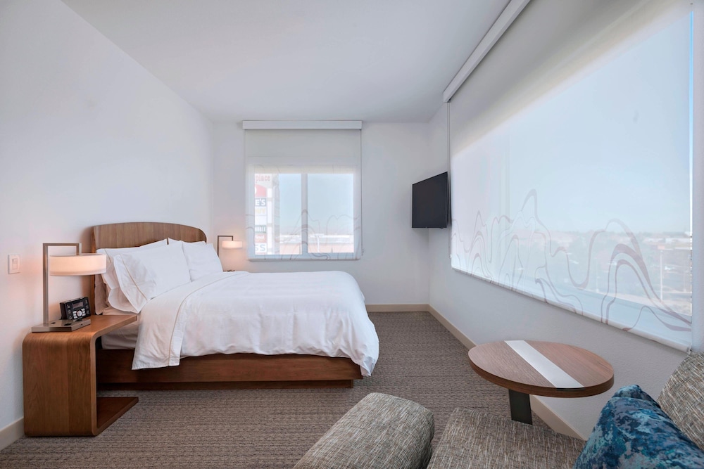 Suite, 1 King Bed with Sofa bed photo 1