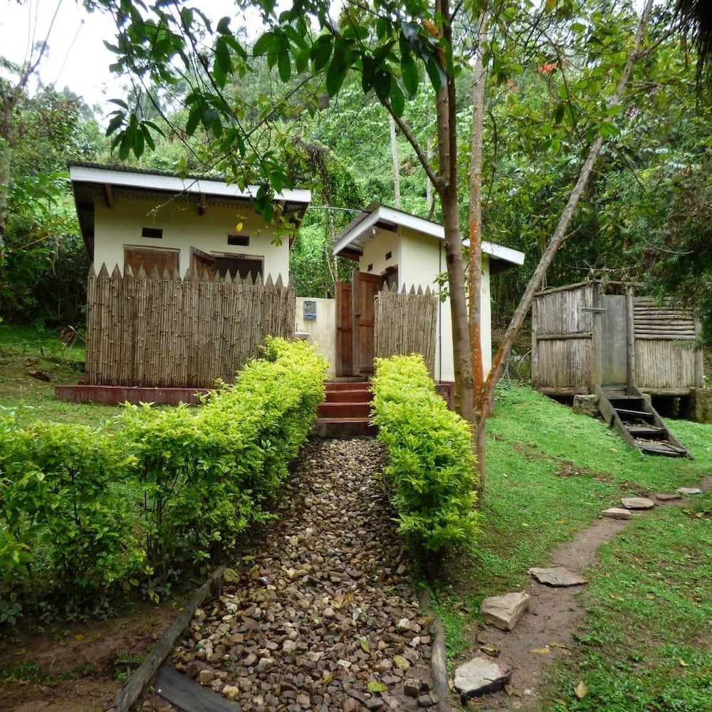 Shared Dormitory photo 2