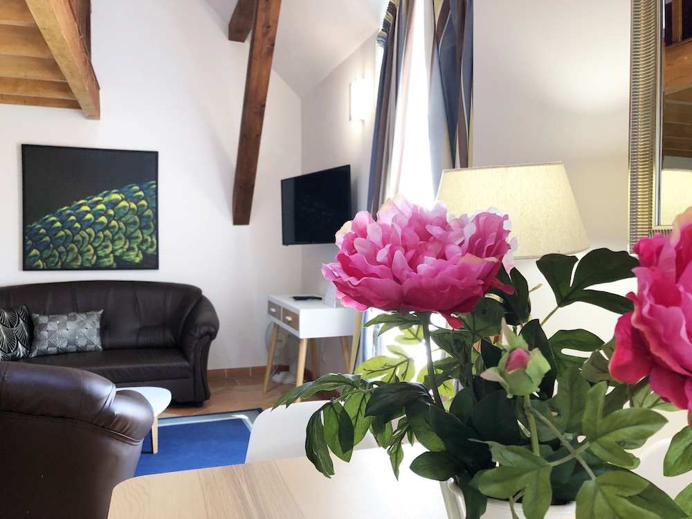 Large suite Duplex - Photo 13