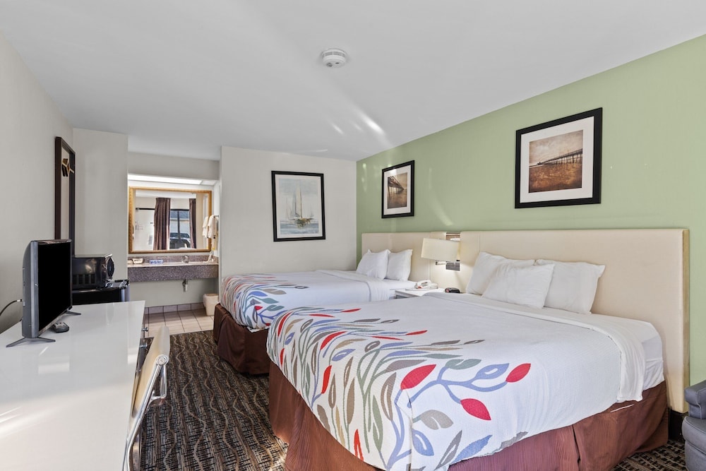 Queen Beds Pet Friendly photo 2