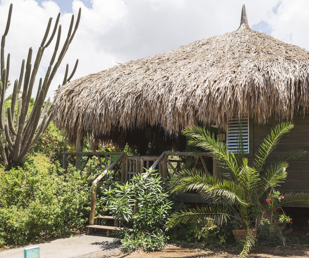 Comfort Bungalow, 1 Bedroom photo 3