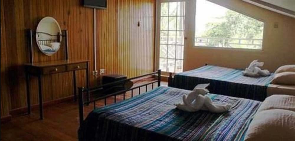 Family Twin Room, Multiple Beds photo 3