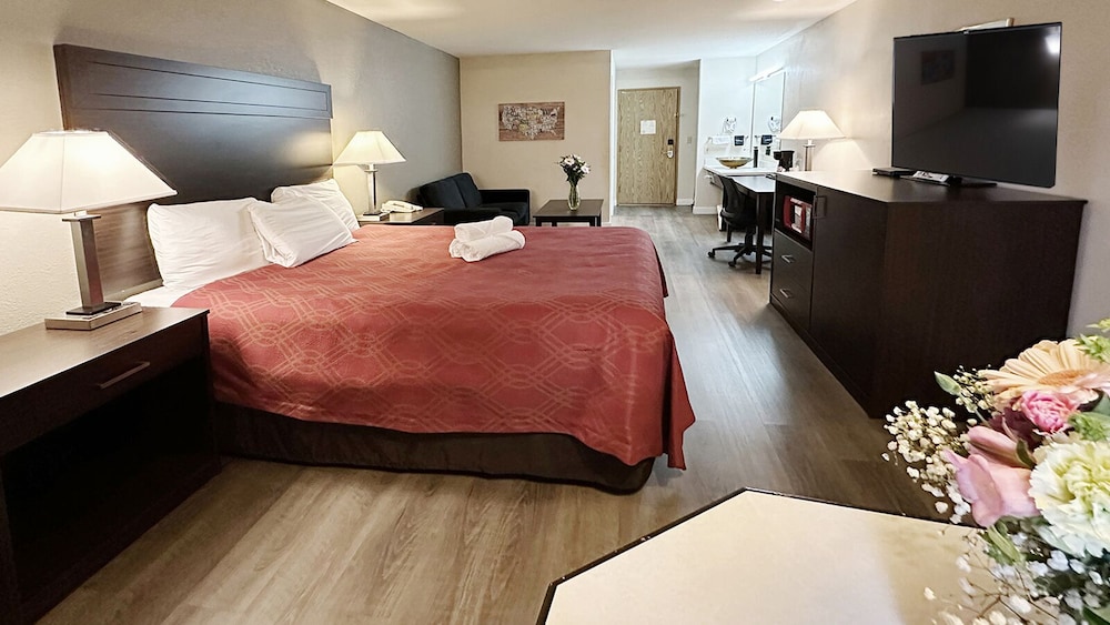Standard Single Room photo 1