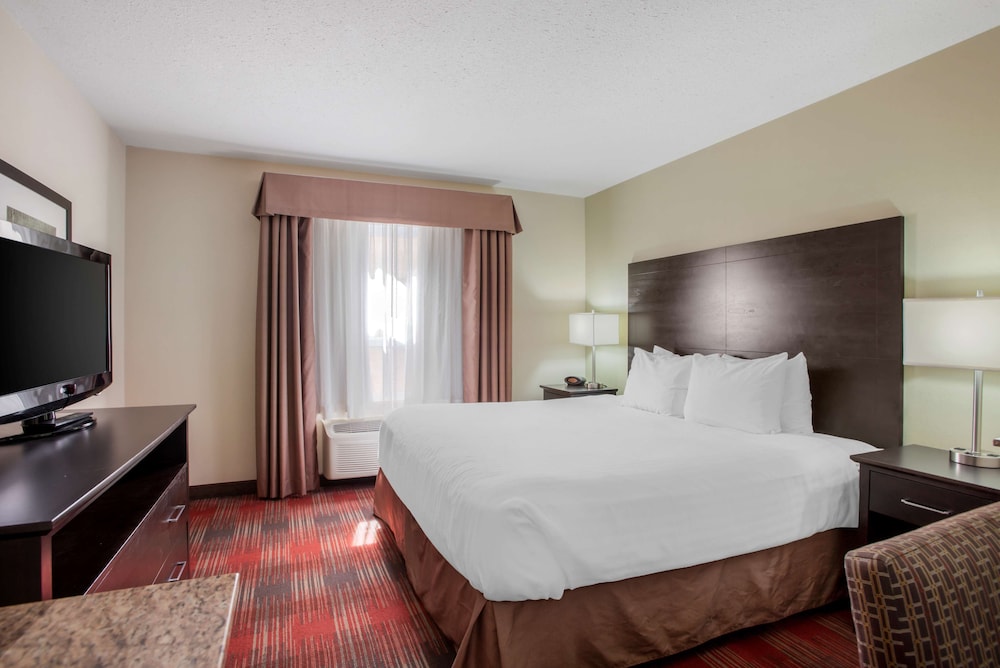 Suite, 1 King Bed, Non Smoking, Refrigerator & Microwave (with Sofabed) - Photo 3