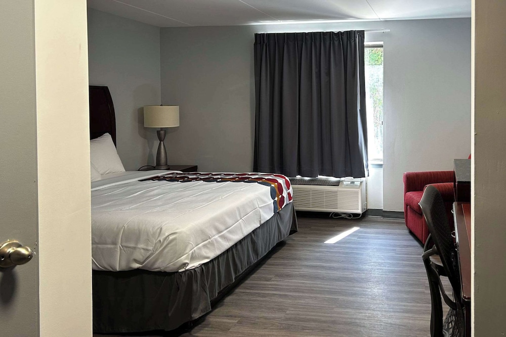 Room, 1 King Bed, Accessible, Non Smoking