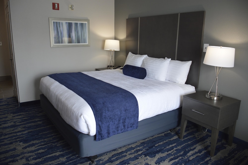 Standard Room, 1 King Bed, Accessible, Refrigerator & Microwave - Photo 1