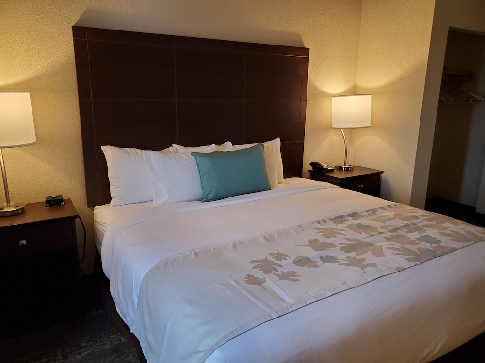 Suite, King Bed with Sofa bed, Non Smoking - Photo 1