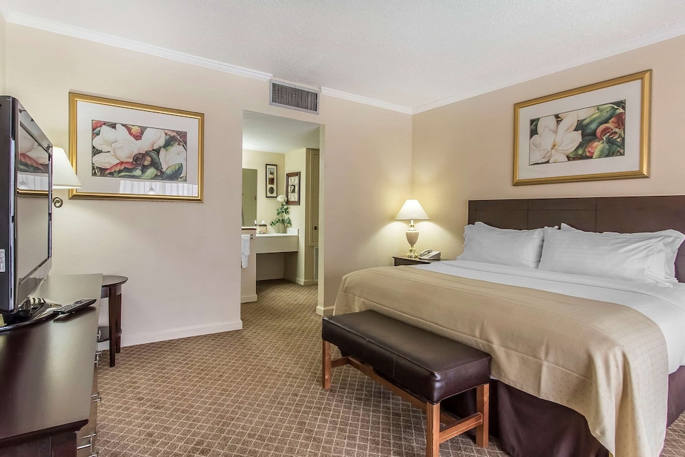Suite, 1 King Bed, Non Smoking photo 3