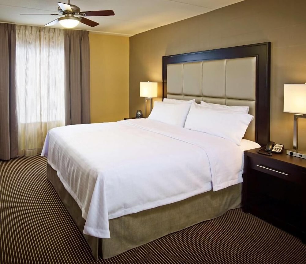 Suite, Accessible (Roll-in Shower)