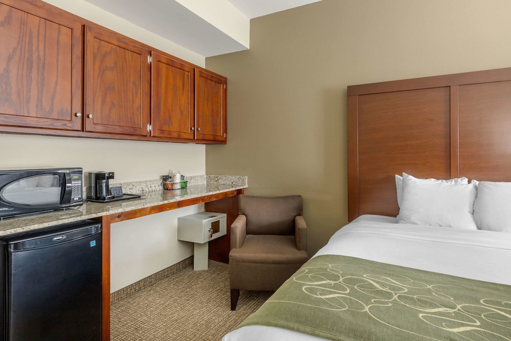 Suite, 1 King Bed, Non Smoking - Photo 4