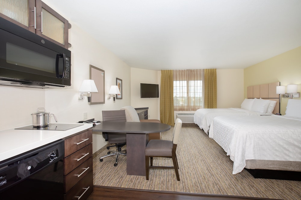 Studio Suite, 2 Double Beds - Photo 3