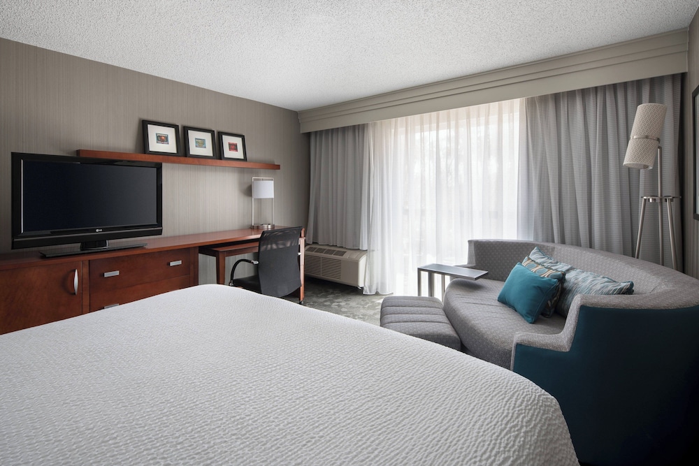Room, 1 King Bed (Hearing Accessible)