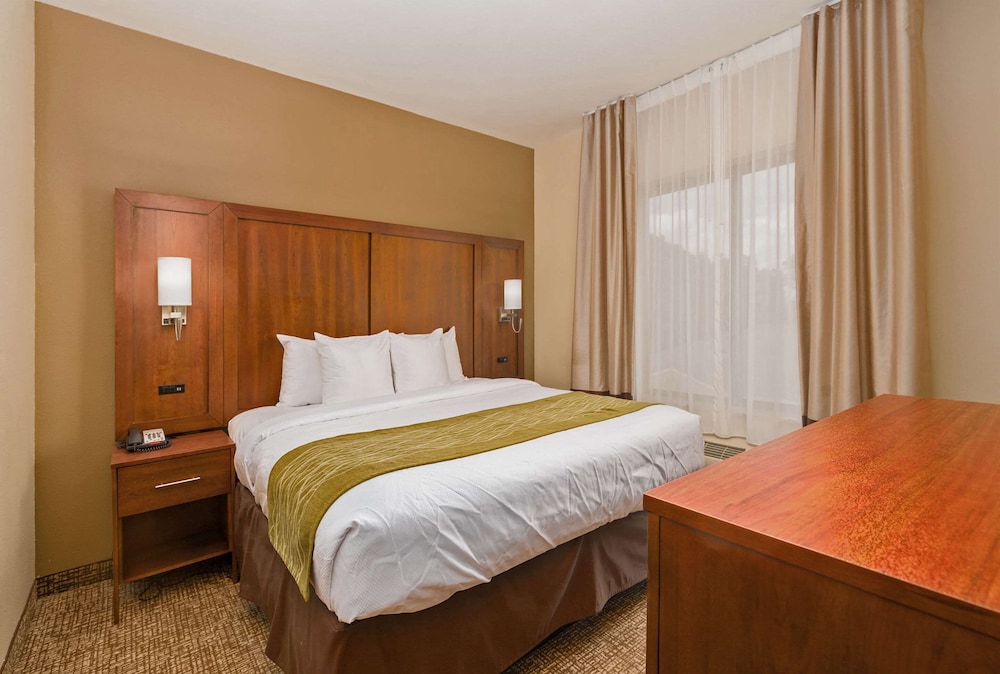 Room, 1 King Bed, Non Smoking, Refrigerator - Photo 3