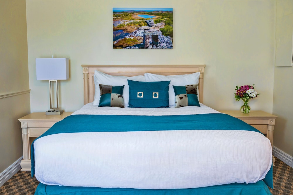 Room, 1 Queen Bed photo 1
