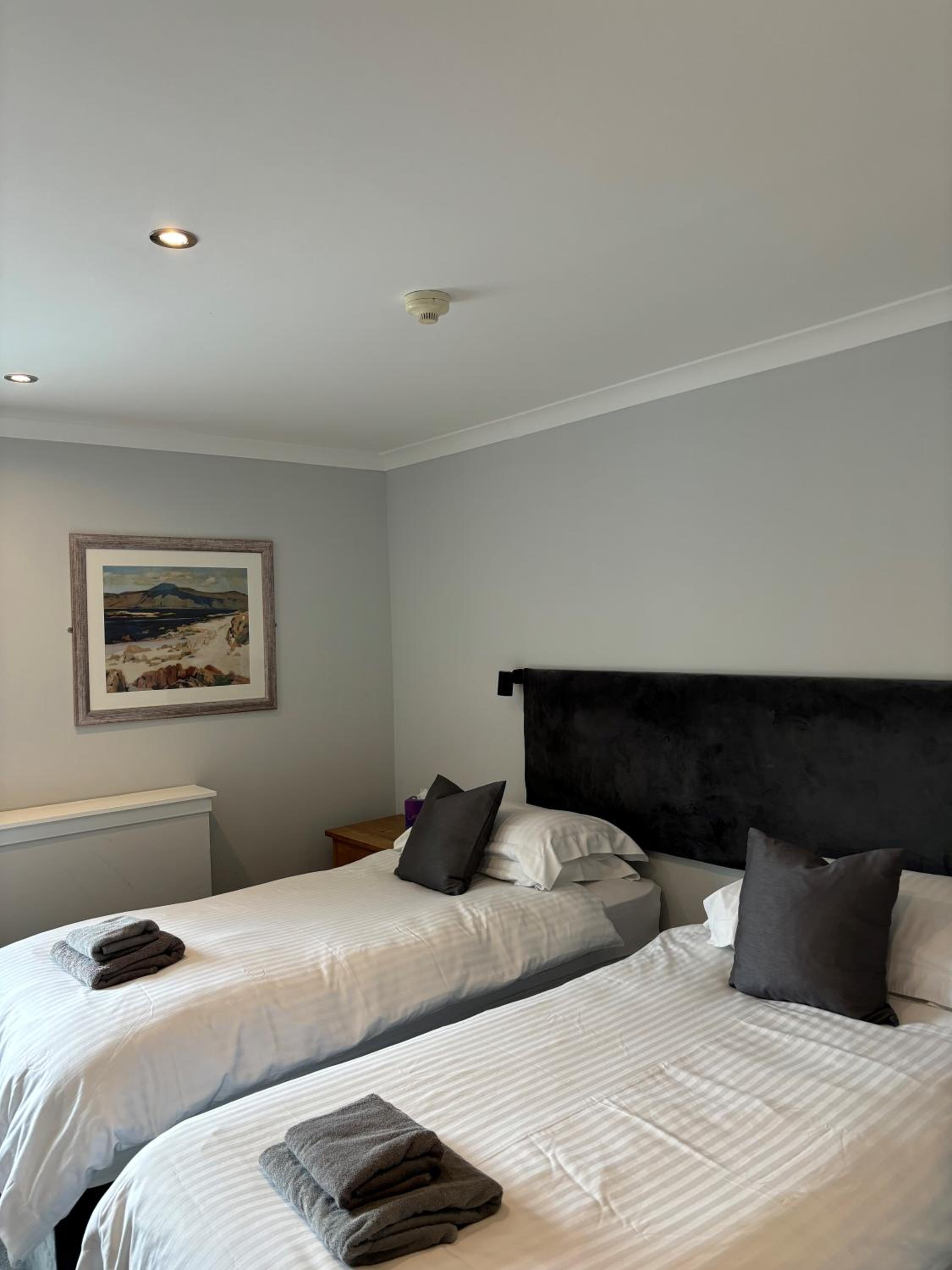 Double or Twin Room with Extra Bed photo 3