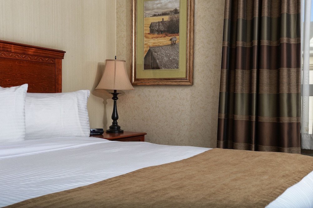 Standard Room, Multiple Beds, Non Smoking (2 Queens,2 Person Sofa Bed)