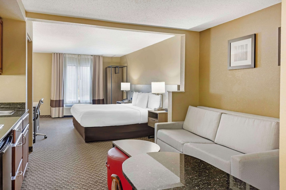 Suite, 1 King Bed with Sofa bed, Accessible, Non Smoking (Efficiency) - Photo 5