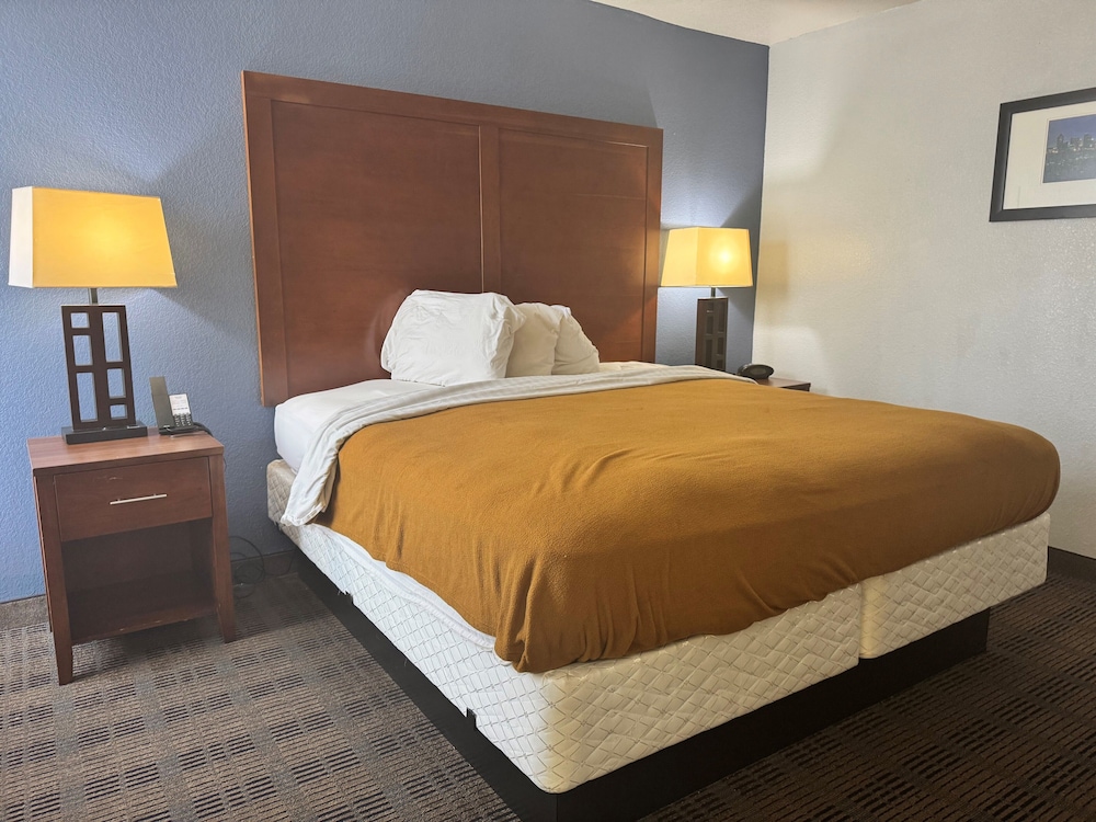 Studio Suite, 1 King Bed, Non Smoking - Photo 5