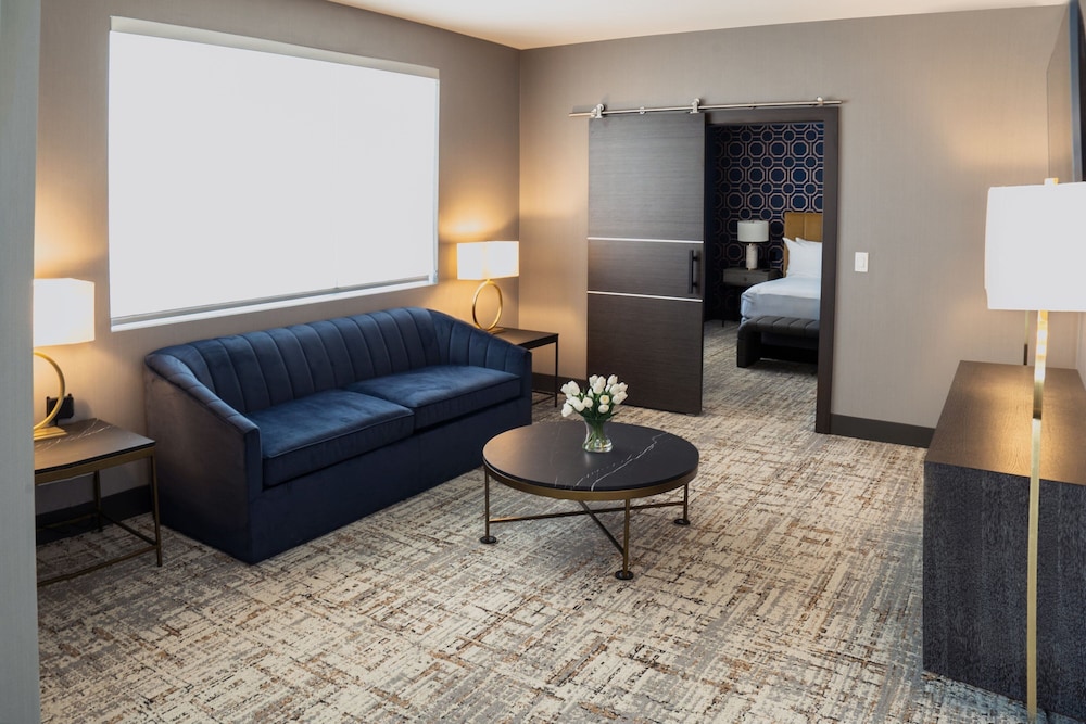 Suite, 1 King Bed with Sofa bed