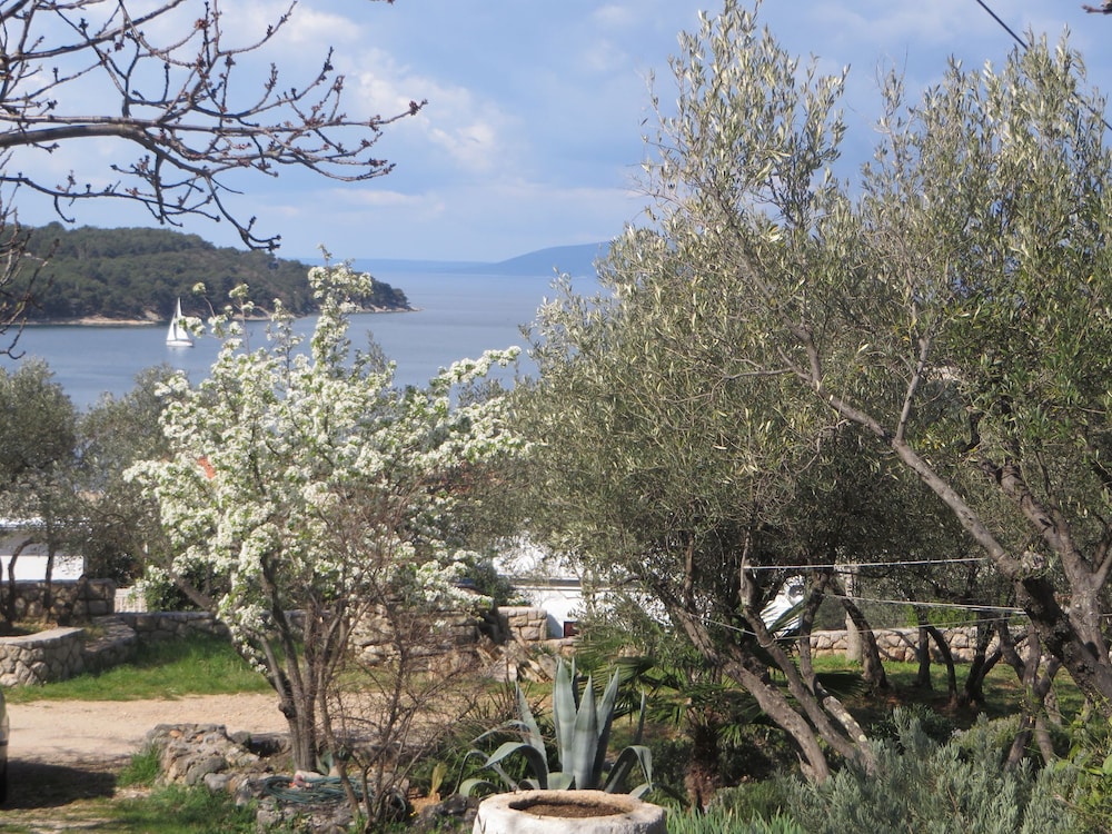 Apartment (Forna - free parking - A3(2+2))