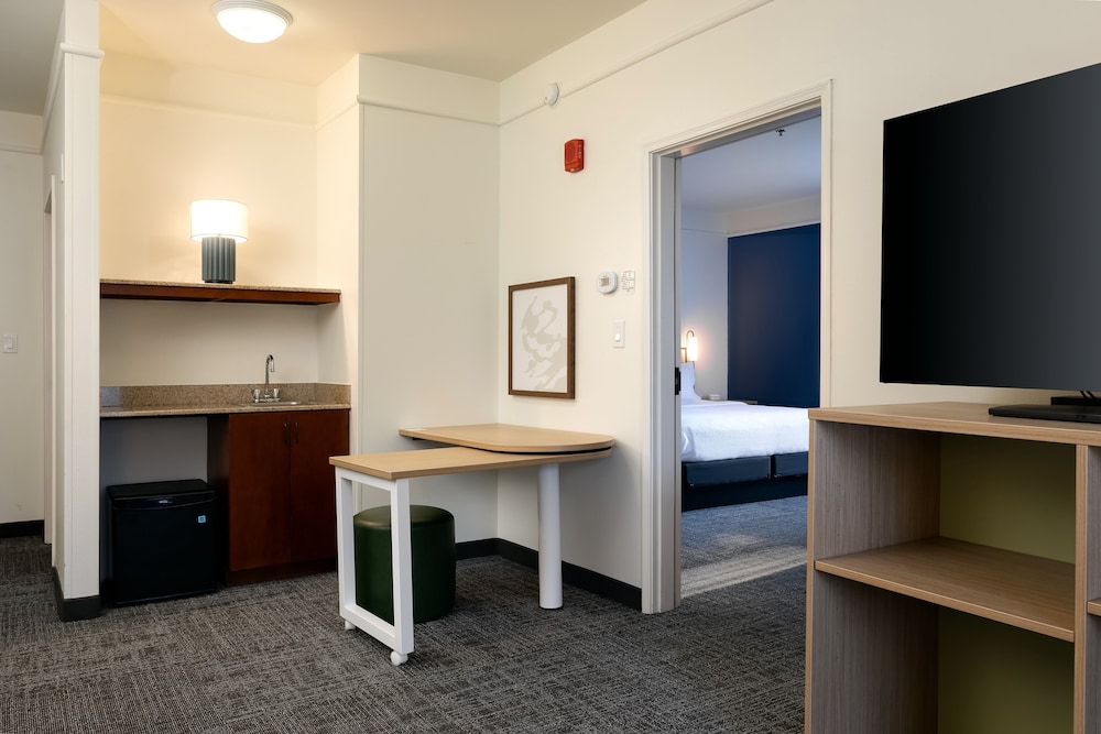 Suite, 1 King Bed - Photo 3