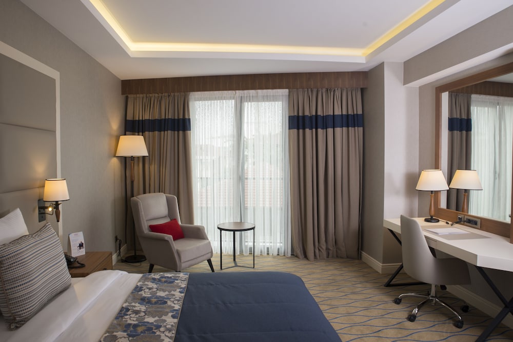 Superior Room, 1 King Bed, Smoking photo 3