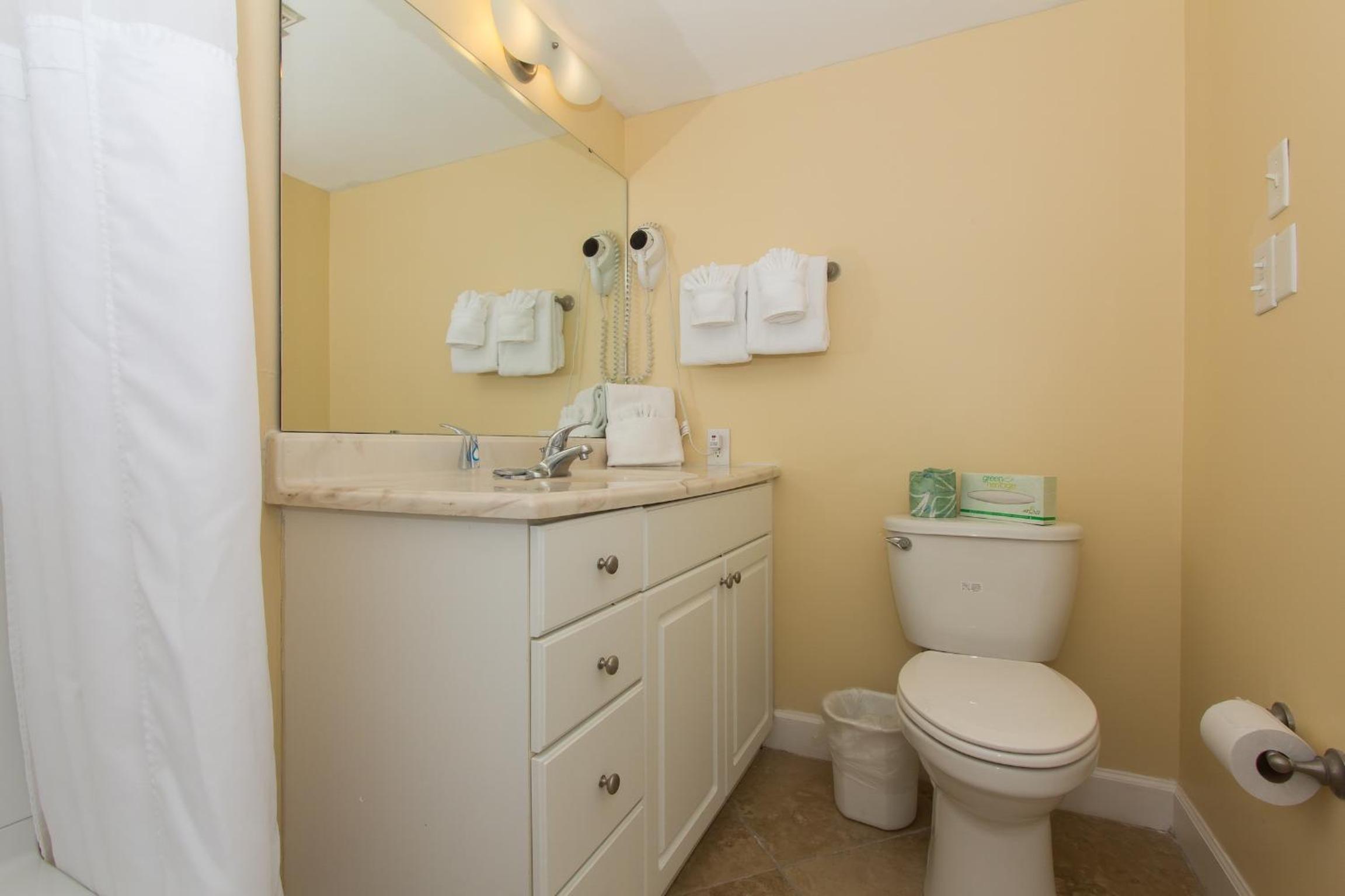 One-Bedroom Suite photo 3