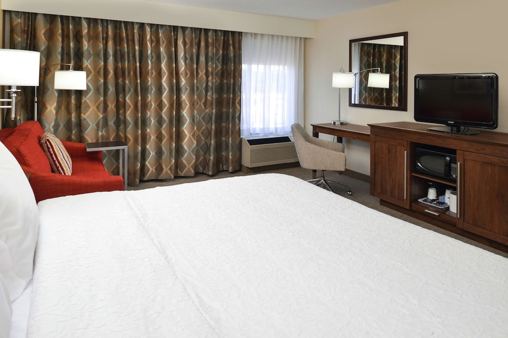 Room, 1 King Bed, Accessible, Bathtub (Mobility & Hearing) - Photo 1