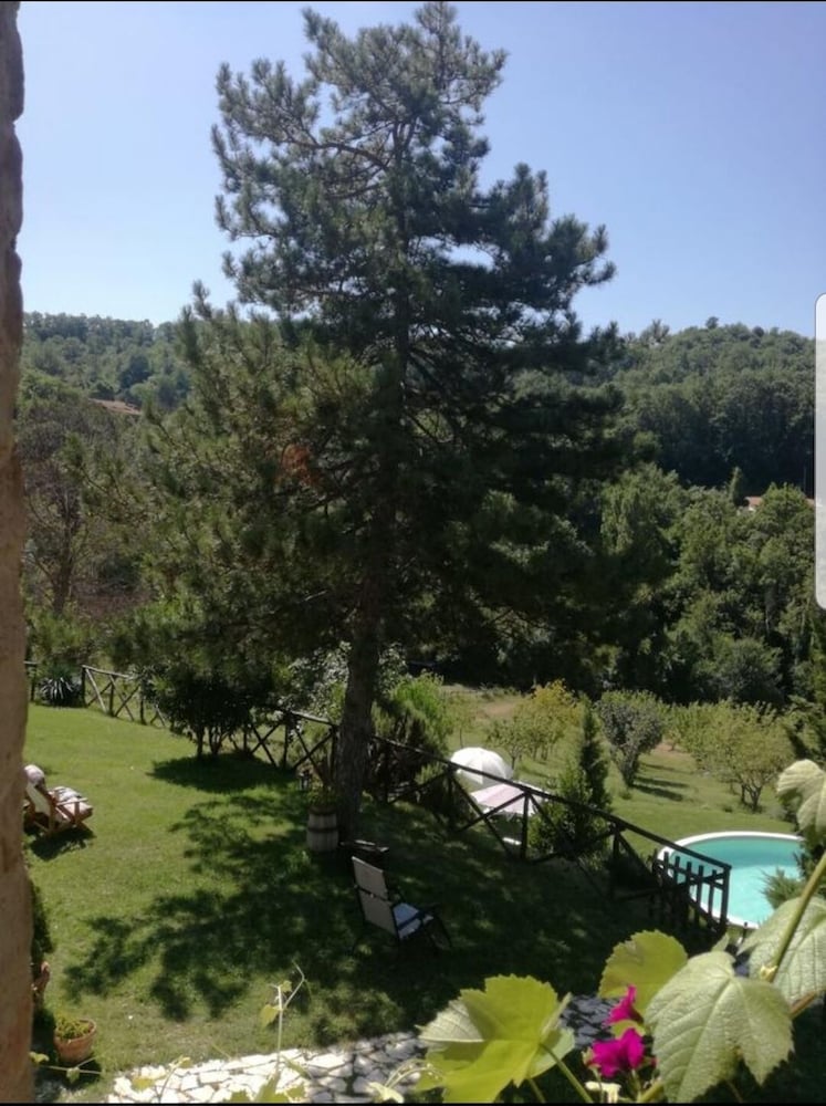 Triple Room, Pool View (3) photo 2