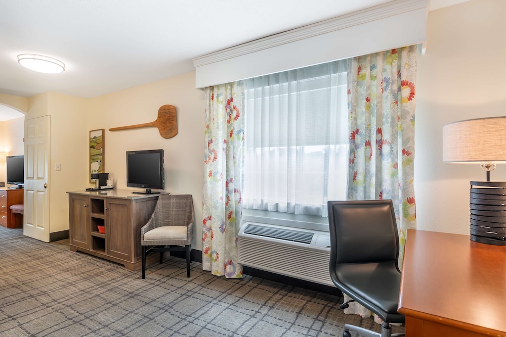 Executive Suite, 1 King Bed, Non Smoking, Refrigerator & Microwave (with Sofabed) - Photo 8
