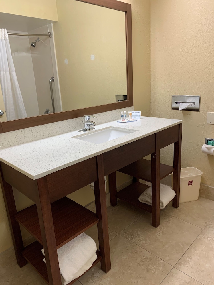Suite, 1 King Bed, Accessible, Non Smoking (Efficiency) - Photo 5