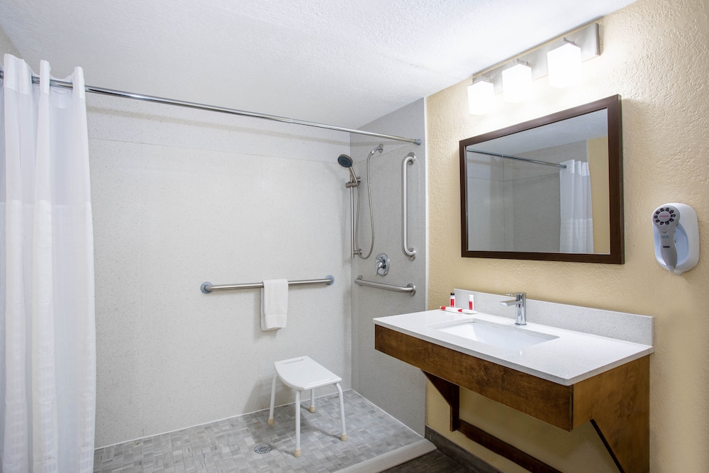 Basic Room, 1 King Bed, Accessible, Non Smoking (Mobility) - Photo 9