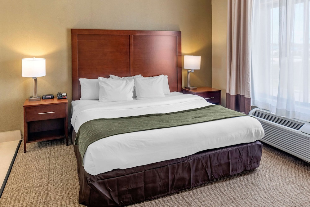 Suite, 1 King Bed with Sofa bed, Non Smoking (2 Person Sofa Bed) photo 1