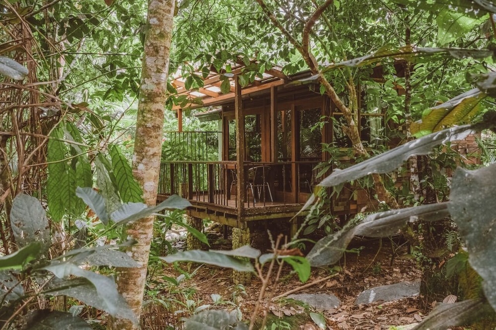 Standard Cabin photo 2