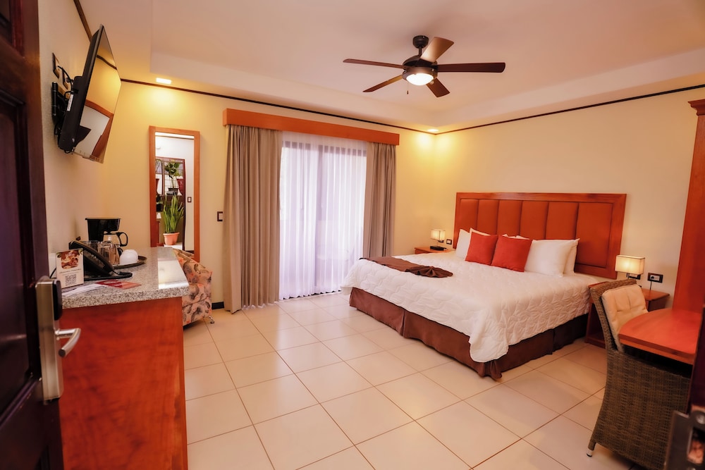 Bromelia 1 Bed - Photo 1