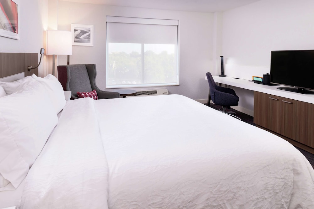 Room, 1 King Bed, Accessible (Roll-In Shower) photo 2