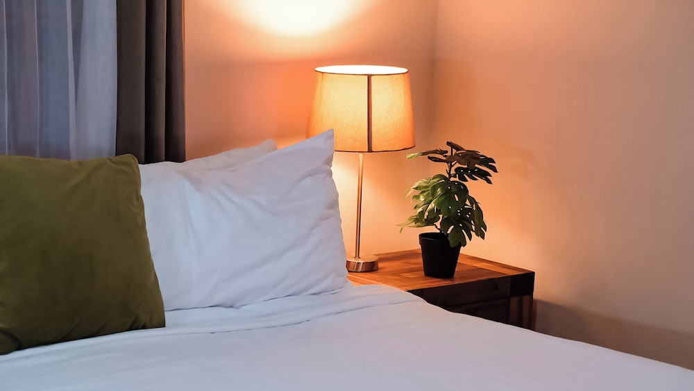 Comfort Double or Twin Room, 1 King Bed, Non Smoking photo 1