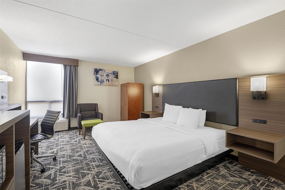 Standard Room, 1 King Bed, Accessible, Refrigerator & Microwave - Photo 2