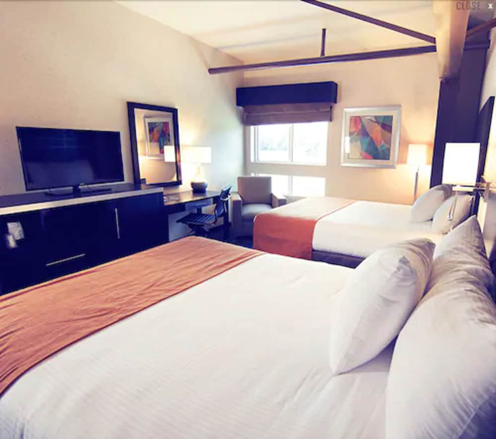 Standard Room, 2 Queen Beds photo 1