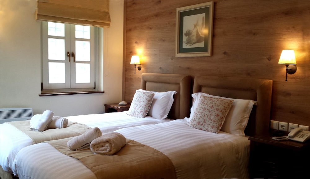 Double or Twin Room photo 3