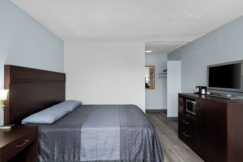 Room, 1 King Bed photo 2