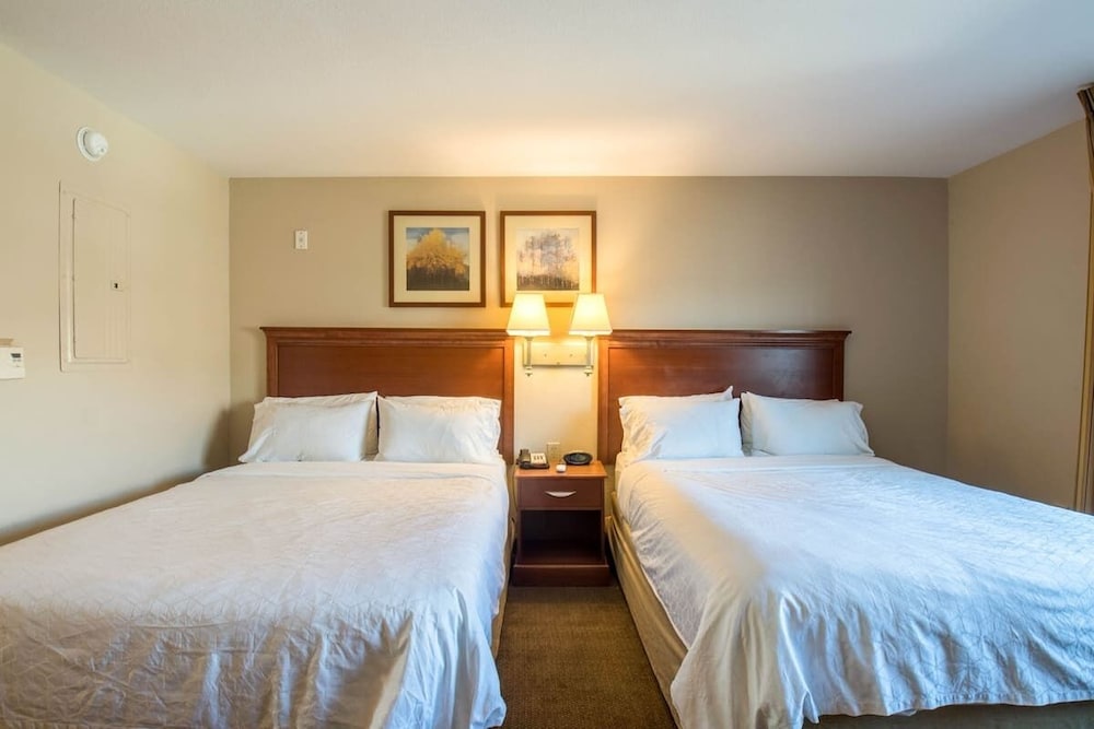 Studio Suite, 2 Queen Beds