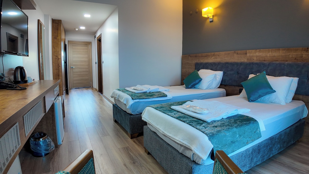 Classic Twin Room, Balcony, Mountain View photo 3