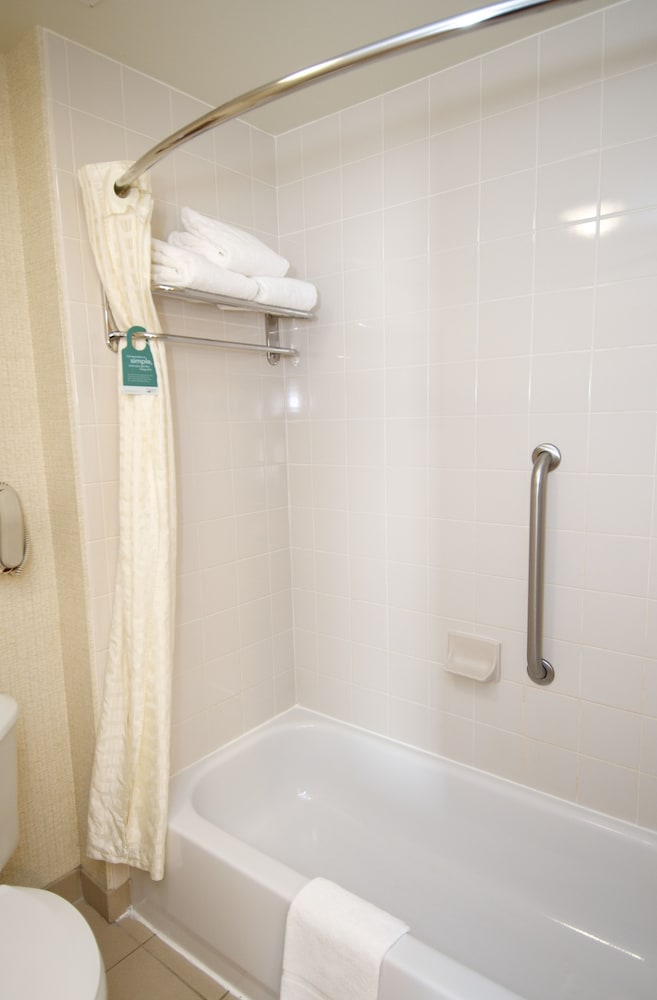 Suite, 1 Bedroom (One King with Sofabed) - Photo 10