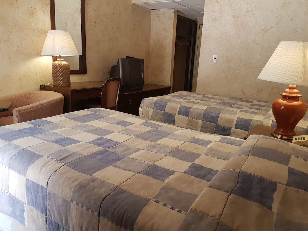 Standard Double or Twin Room - Photo 5