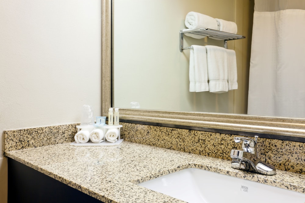 Standard Room, 1 King Bed, Accessible (Communications Accessible) - Photo 4